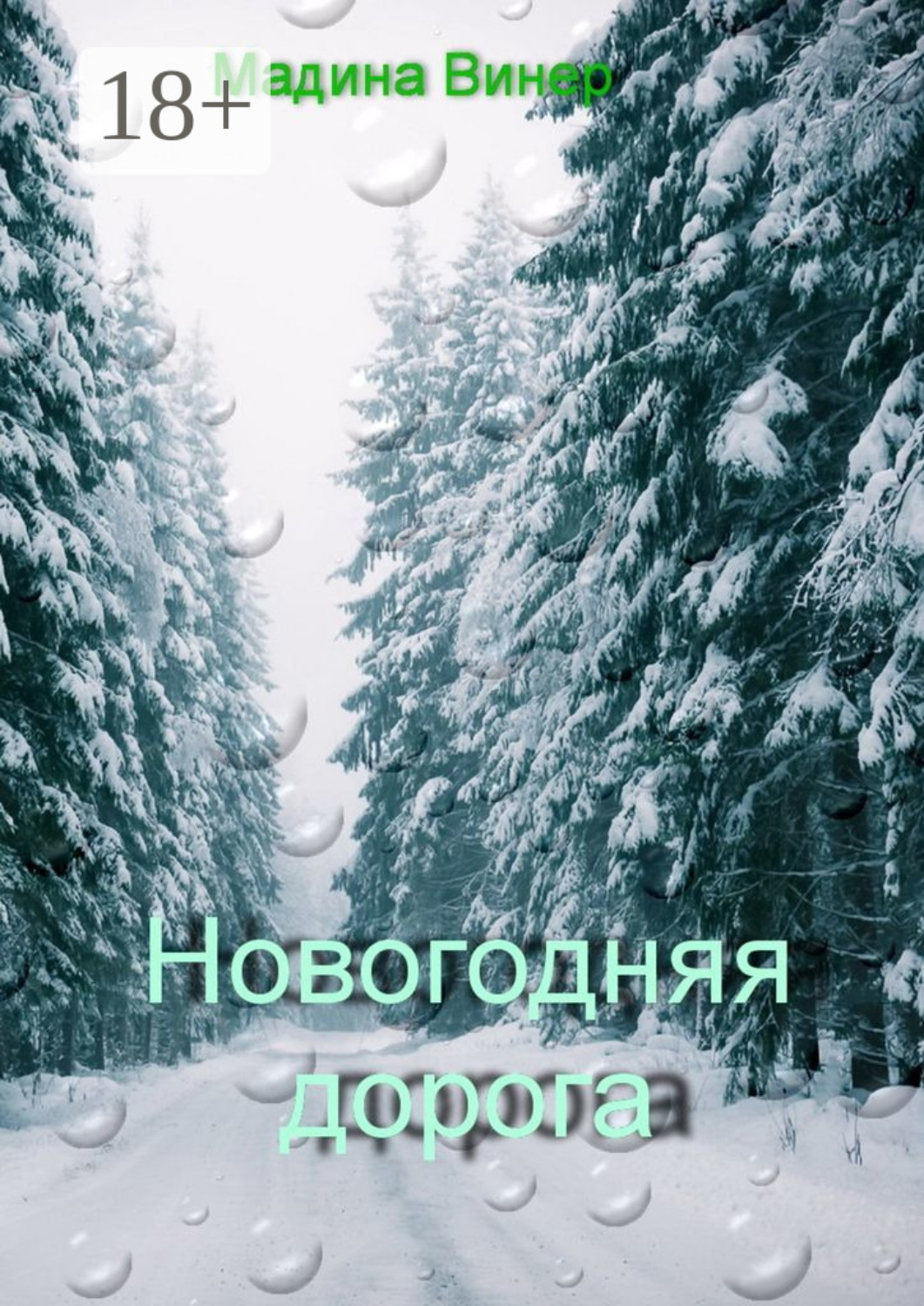 Обложка книги «Новогодняя дорога»