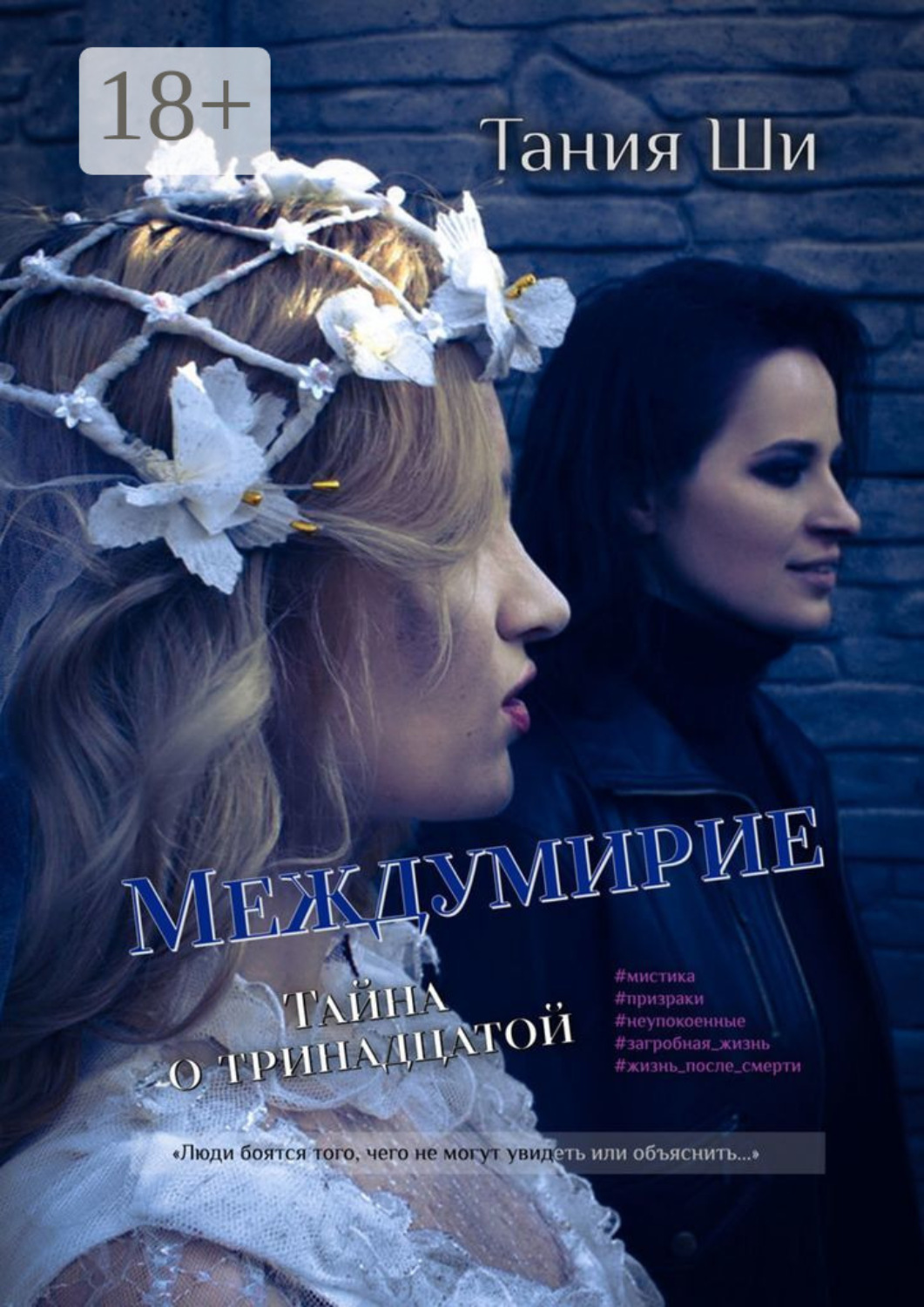 Обложка книги «Междумирие. Тайна о тринадцатой»