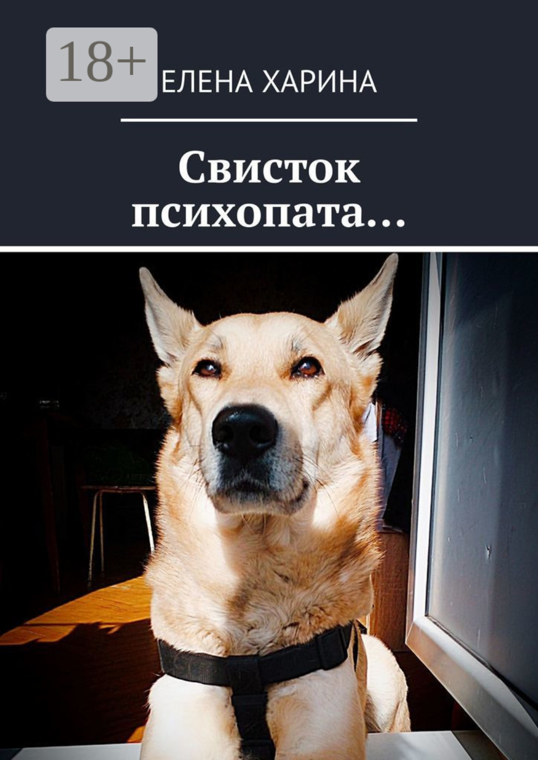 Обложка книги «Свисток психопата… на реальных событиях»
