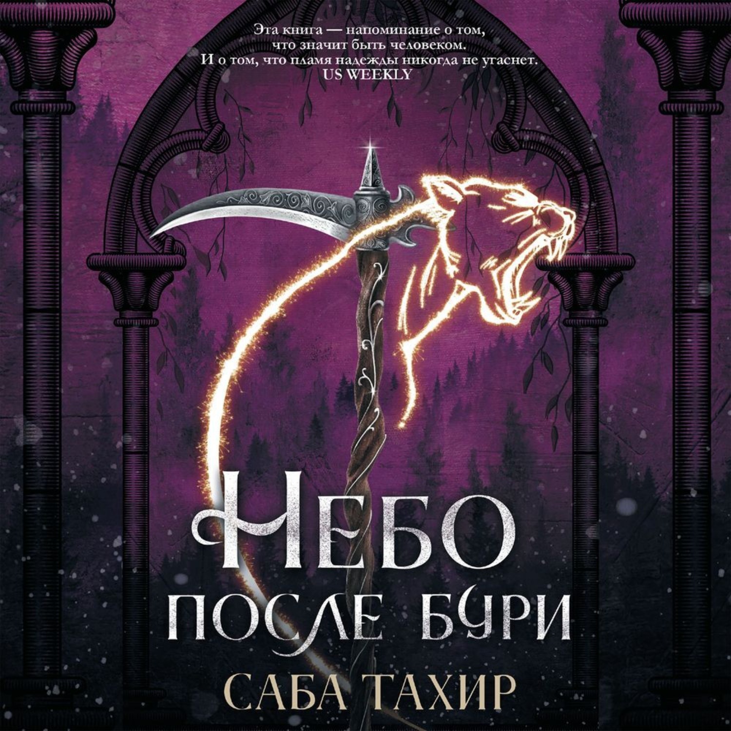 Обложка книги «Небо после бури»