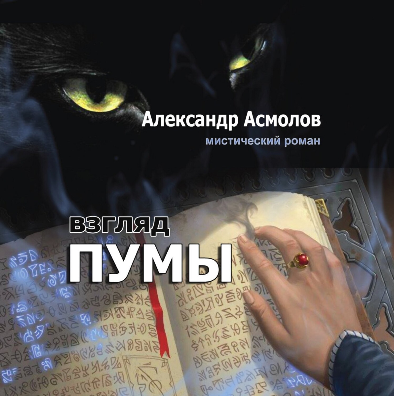 Обложка книги «Взгляд пумы»