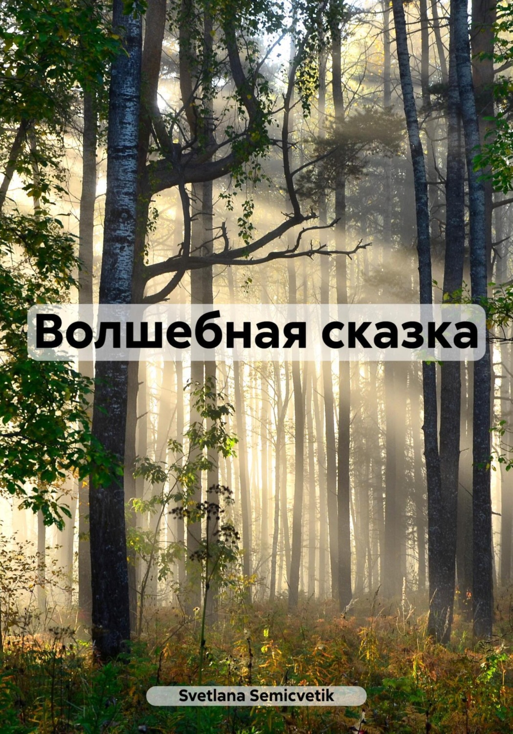 Обложка книги «Волшебная сказка»