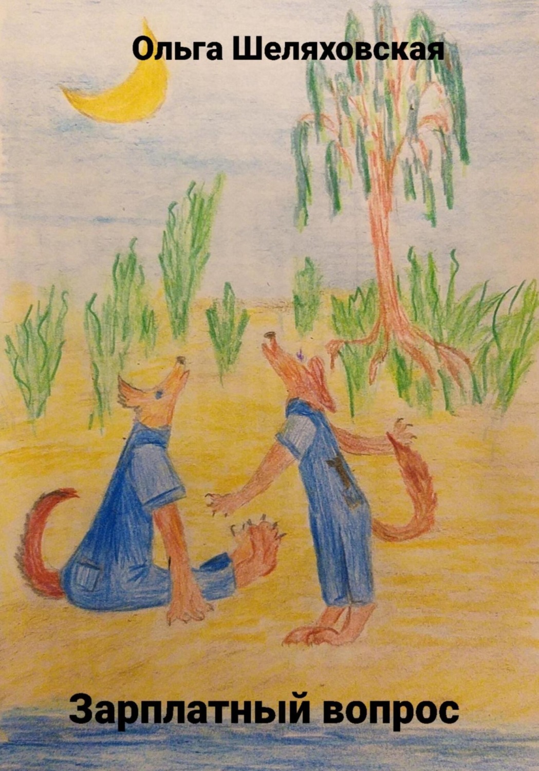 Обложка книги «Зарплатный вопрос»