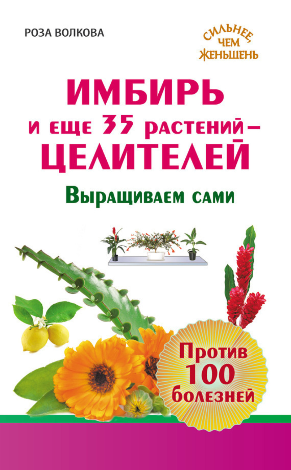 Обложка книги «Имбирь и еще 35 растений-целителей. Выращиваем сами. Против 100 болезней»