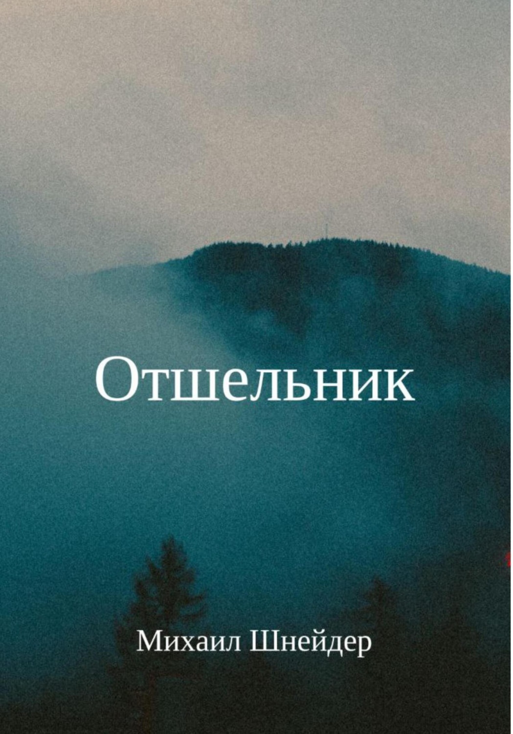 Обложка книги «Отшельник»