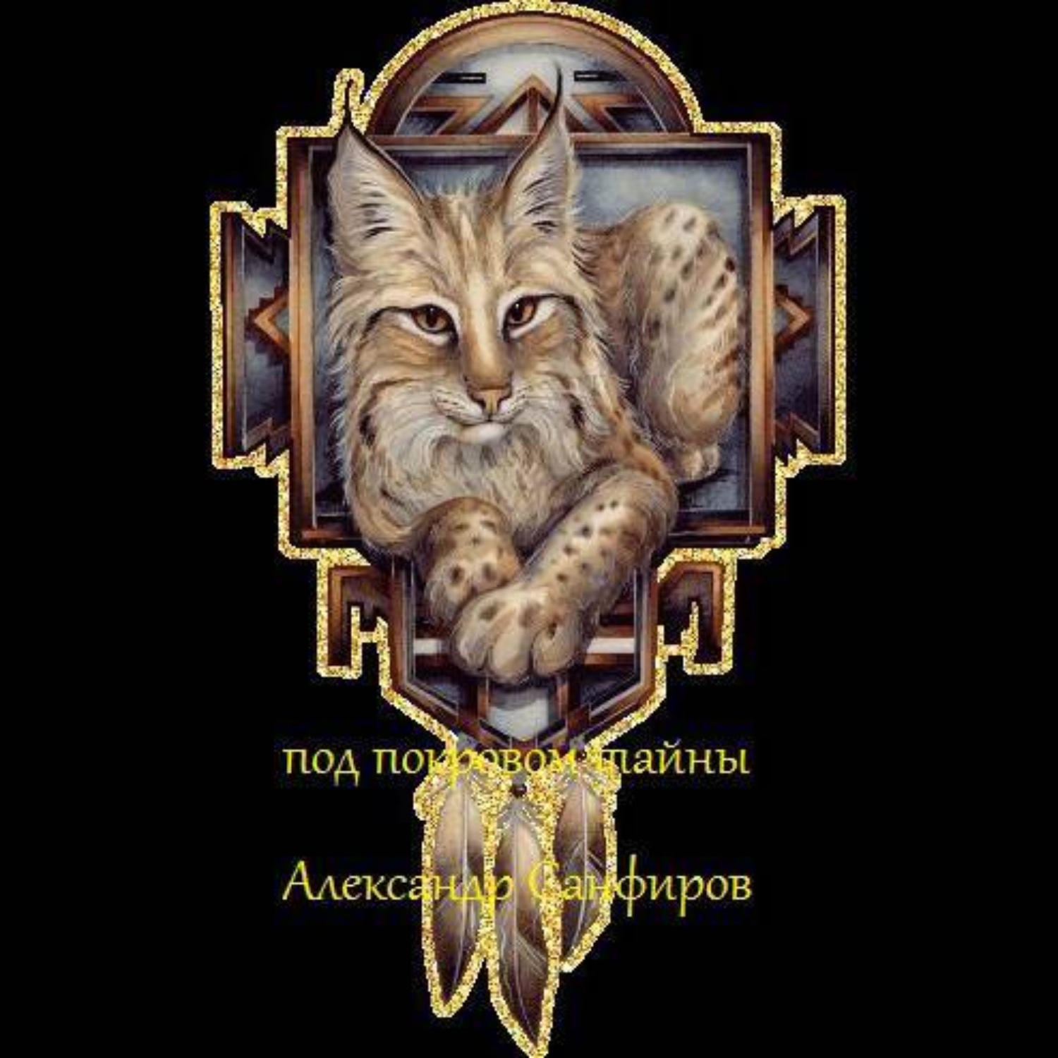 Обложка книги «Под покровом тайны»