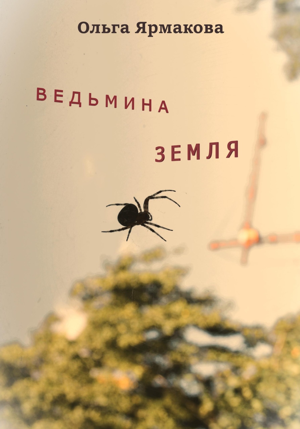 Обложка книги «Ведьмина земля»