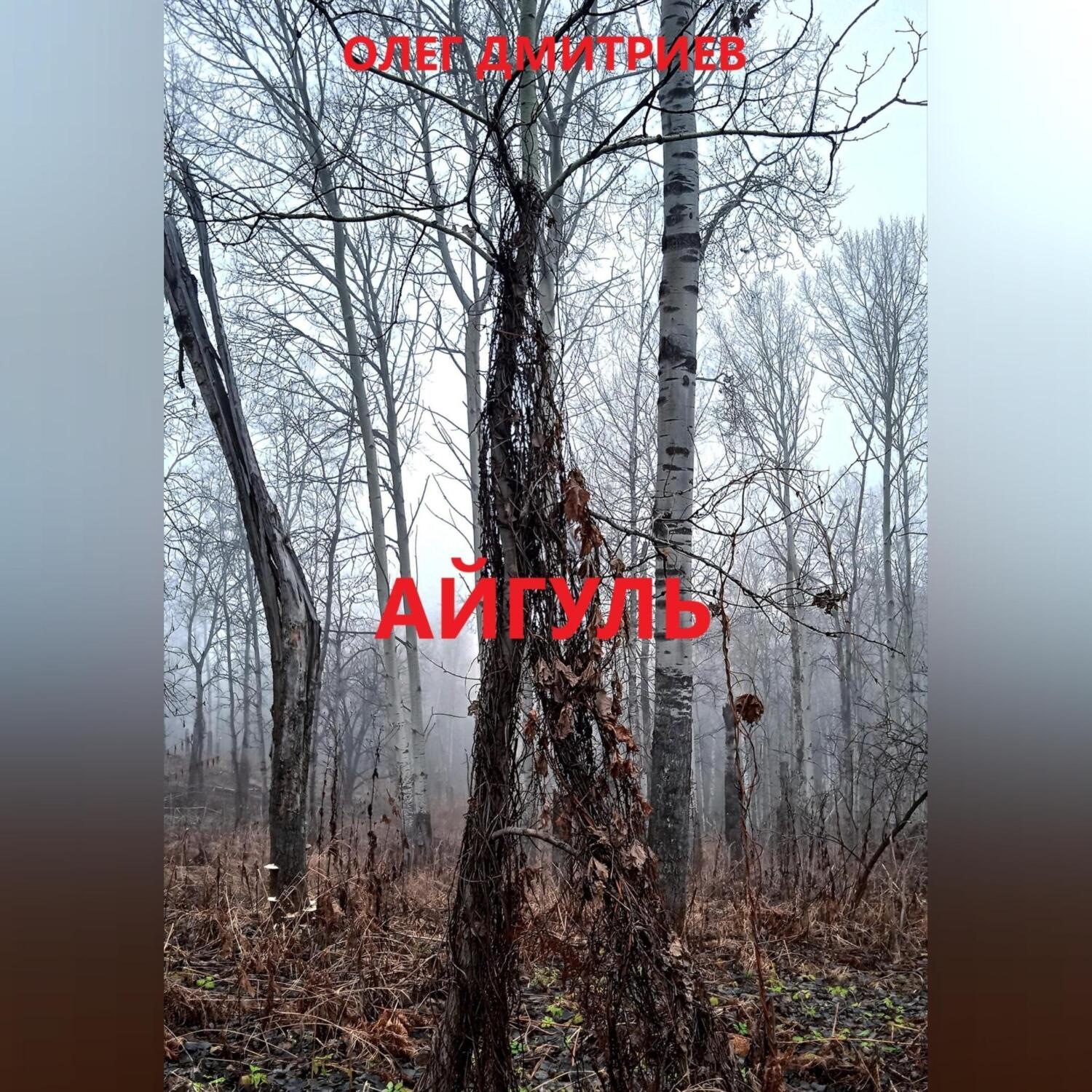 Обложка книги «Айгуль»