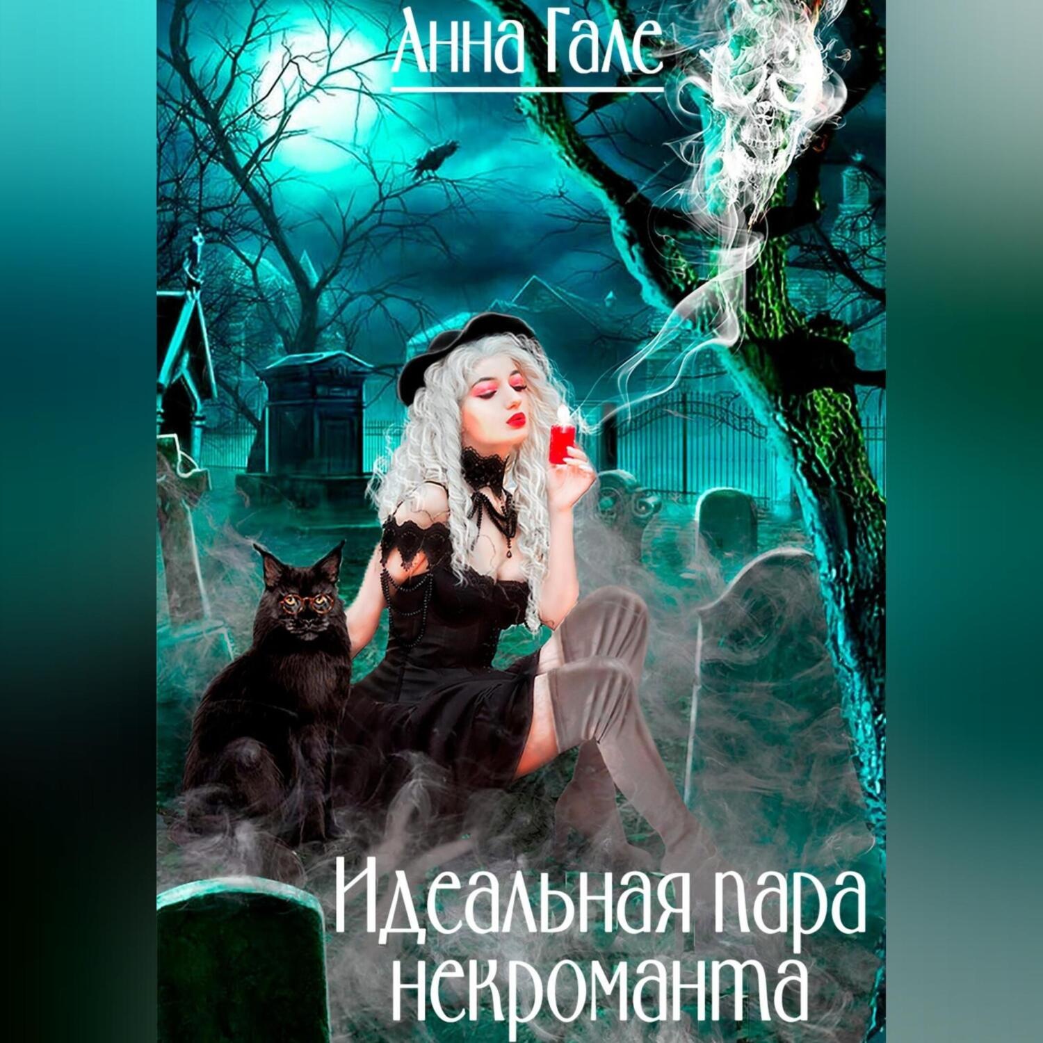 Обложка книги «Идеальная пара некроманта»