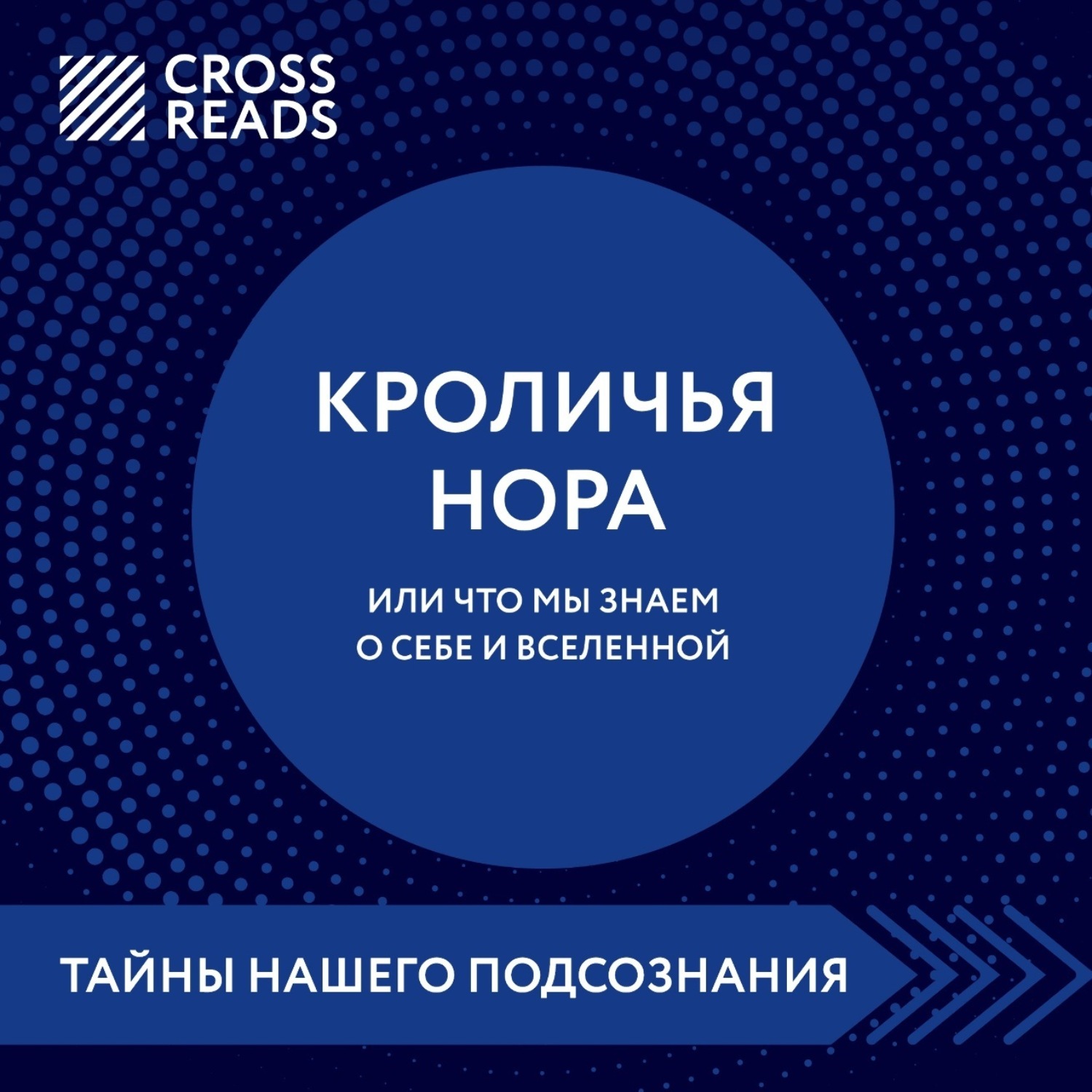 Обложка книги «Саммари книги «Кроличья нора, или Что мы знаем о себе и Вселенной»»