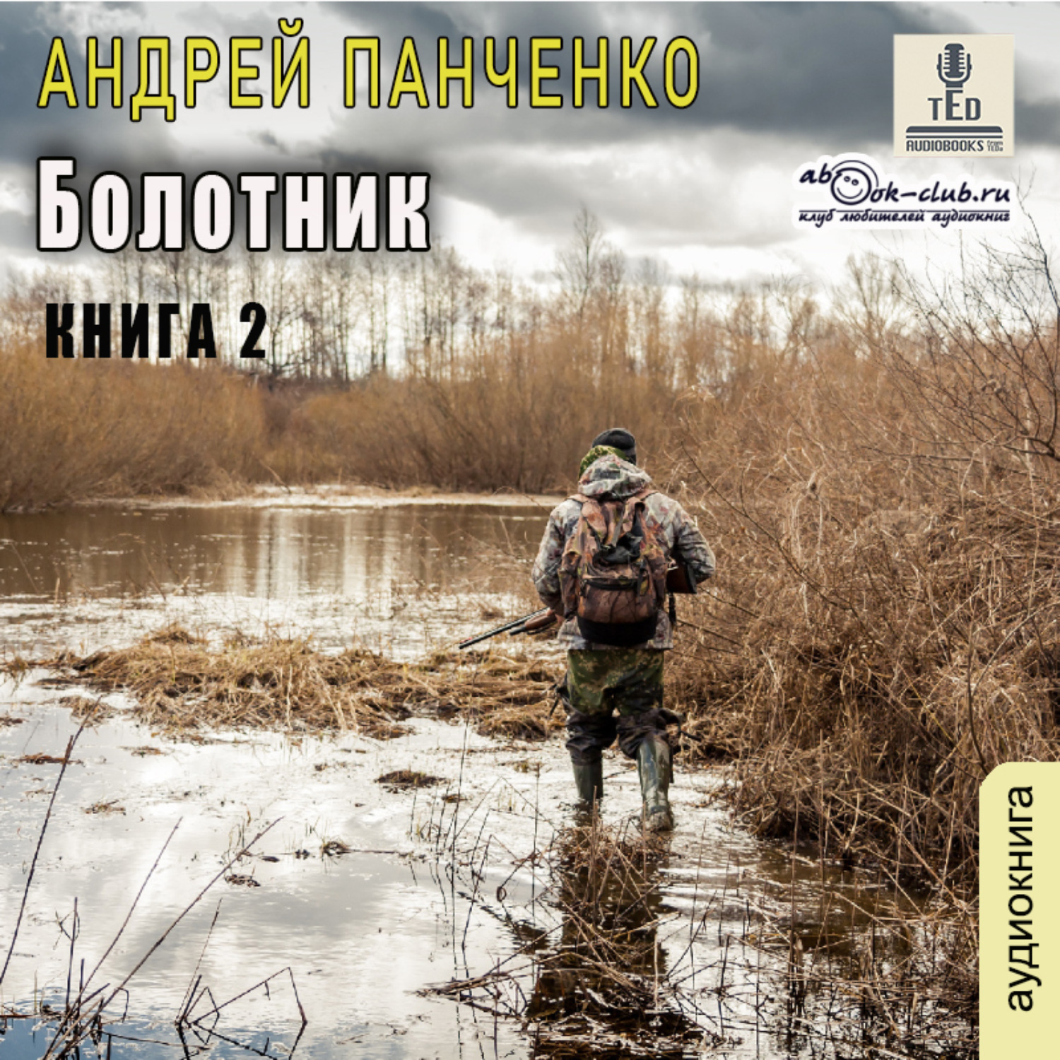 Обложка книги «Болотник. Книга 2»