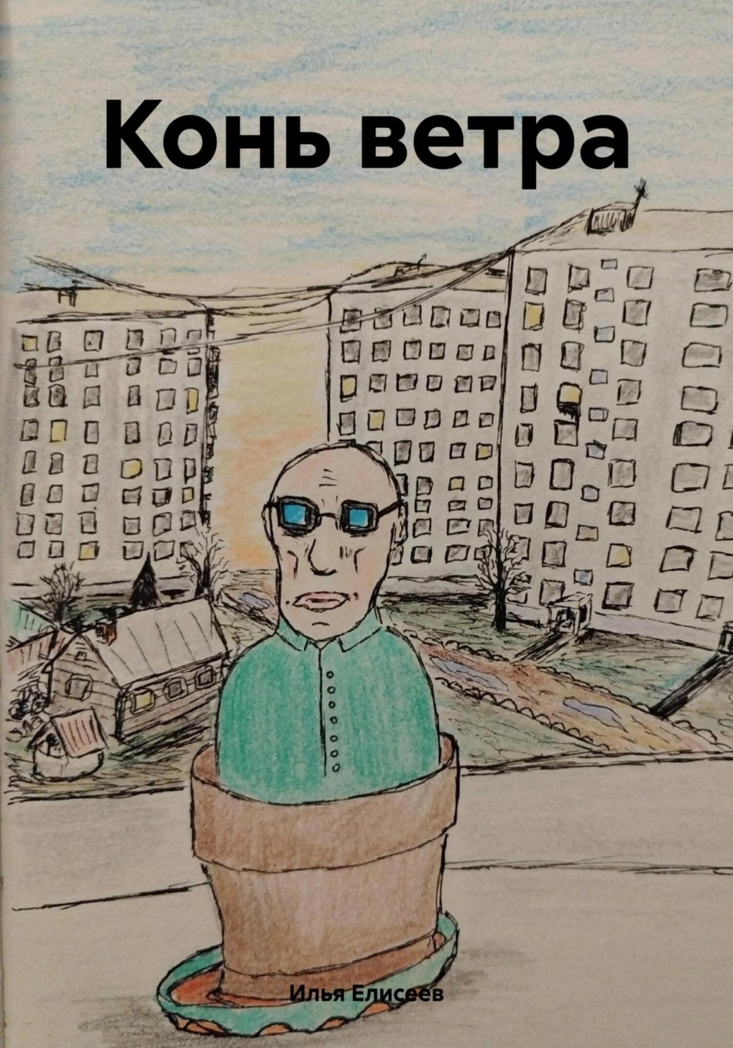 Обложка книги «Конь ветра»