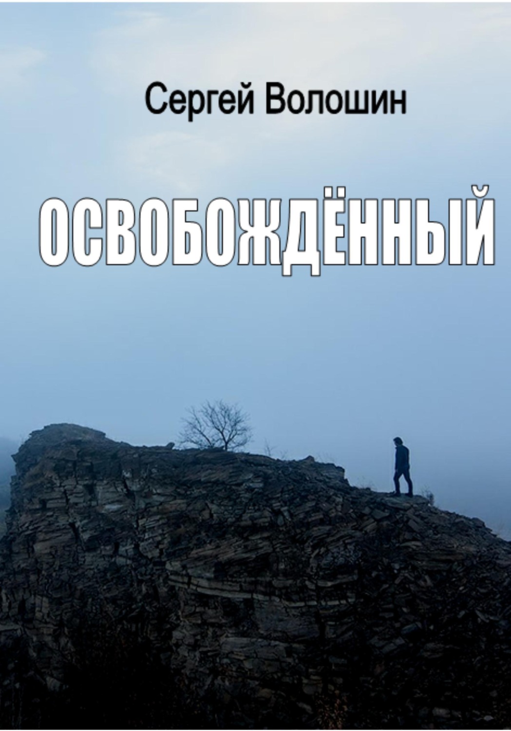 Обложка книги «Освобождённый»