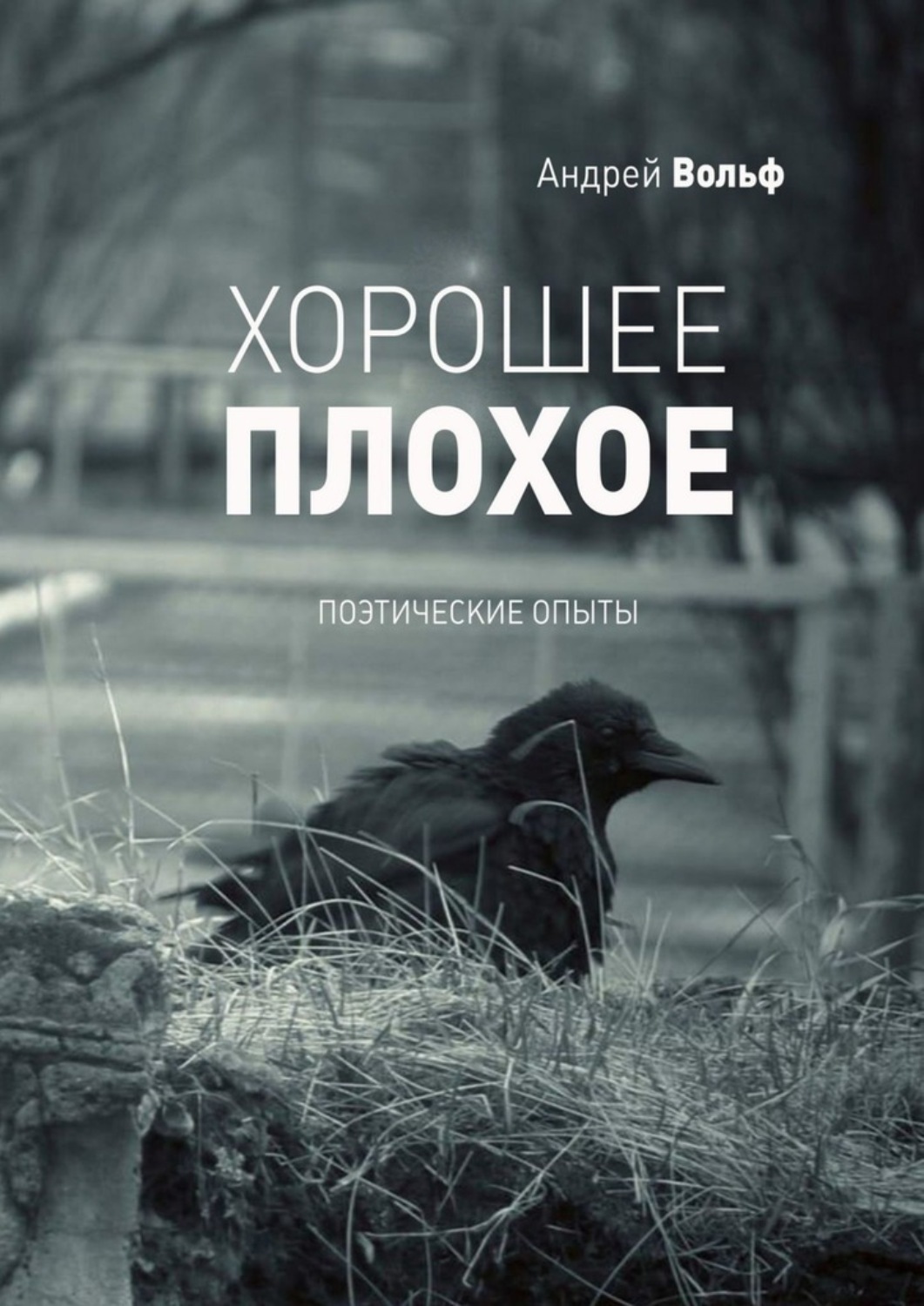 Обложка книги «Хорошее плохое. Поэтические опыты»