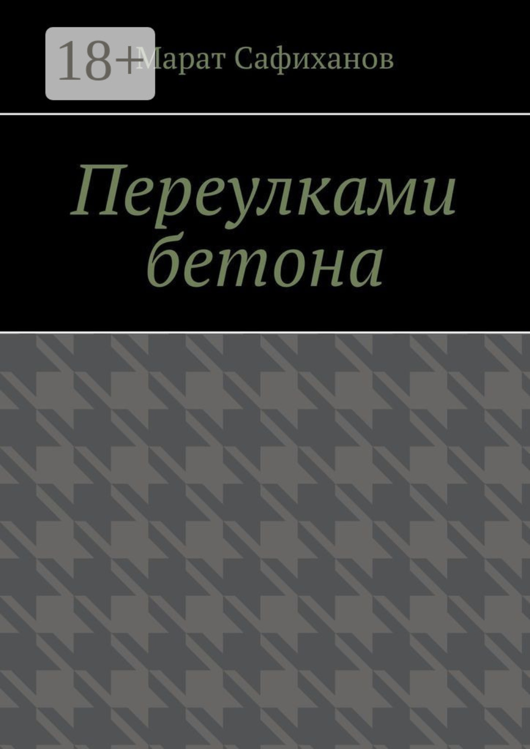 Обложка книги «Переулками бетона»