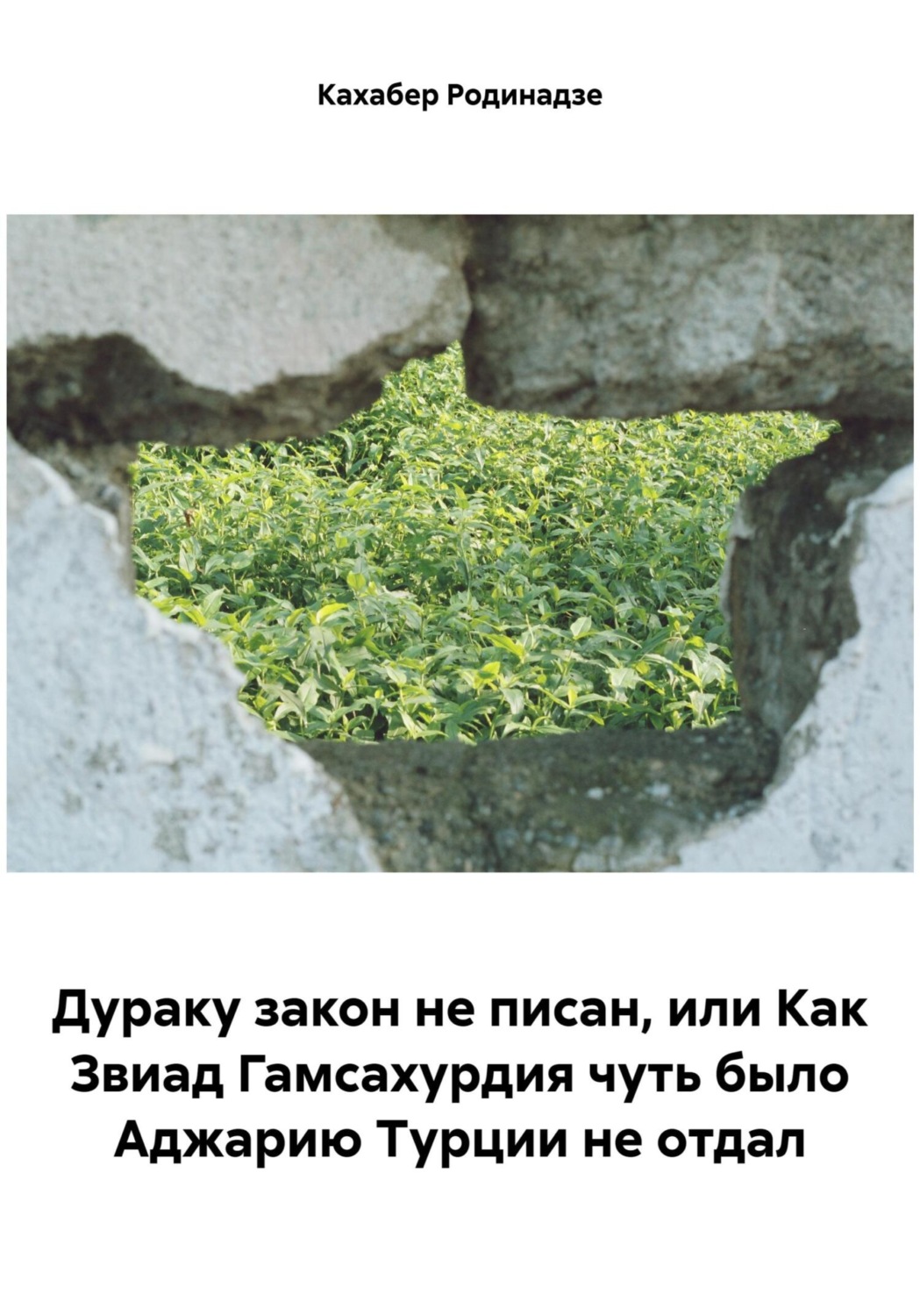 Обложка книги «Дураку закон не писан, или Как Звиад Гамсахурдия чуть было Аджарию Турции не отдал»