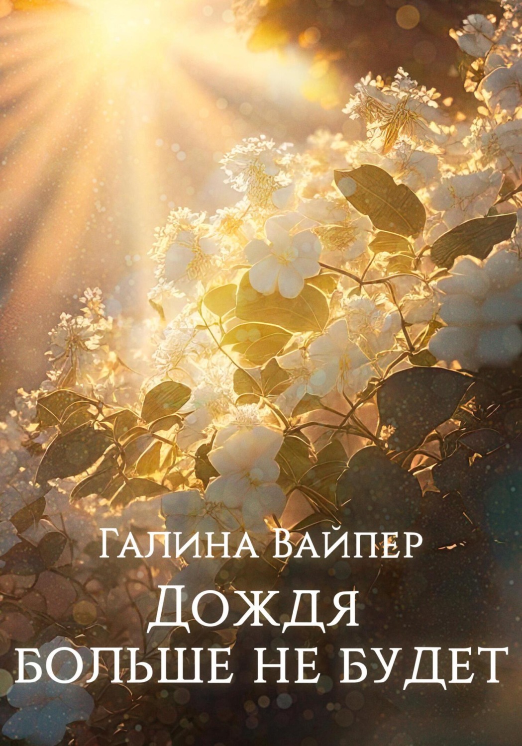 Обложка книги «Дождя больше не будет»