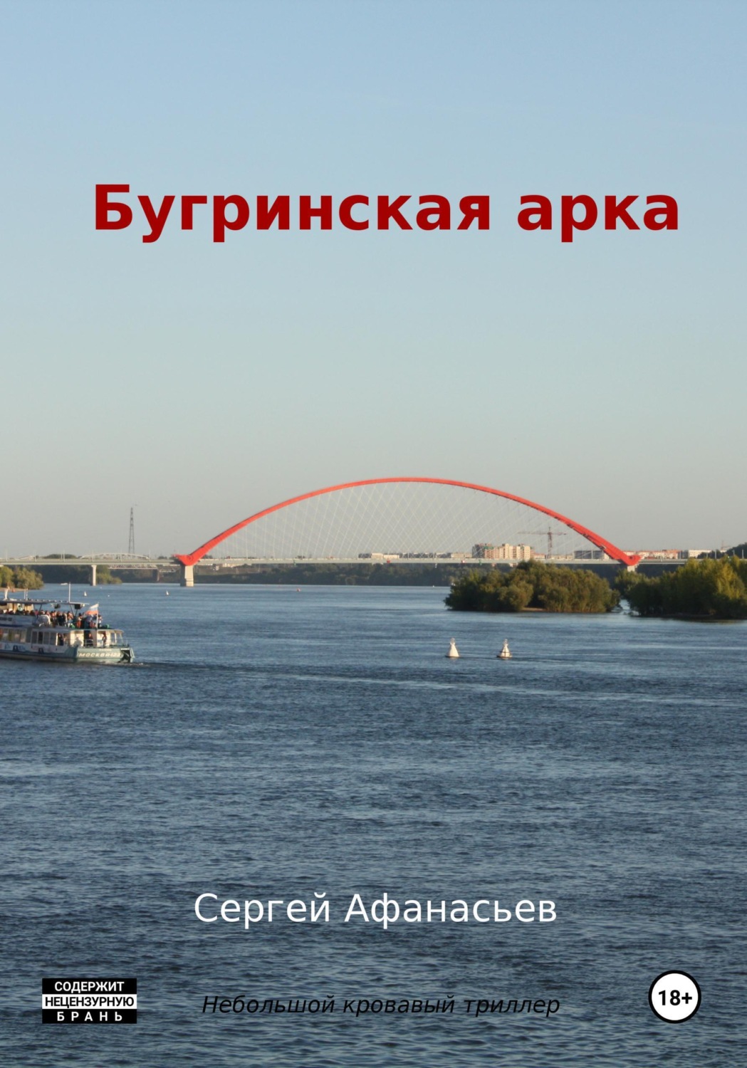 Обложка книги «Бугринская арка»