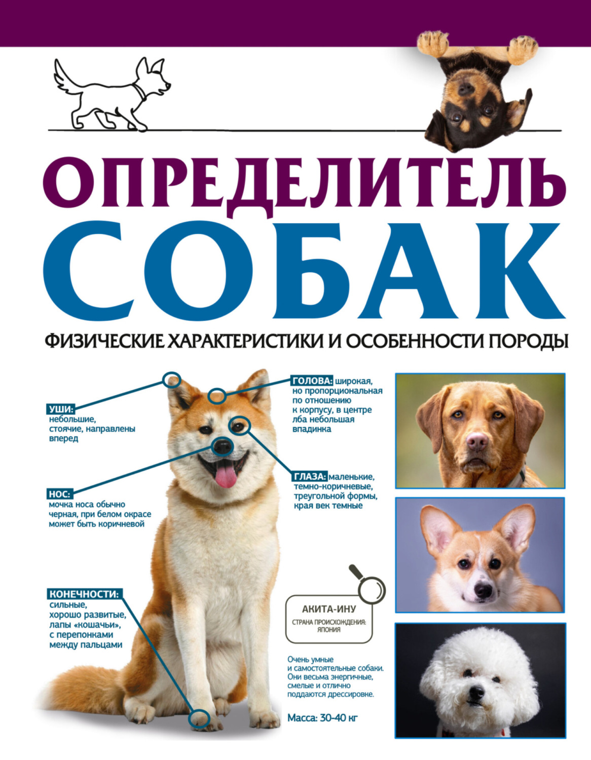 Обложка книги «Определитель собак. Физические характеристики и особенности породы»