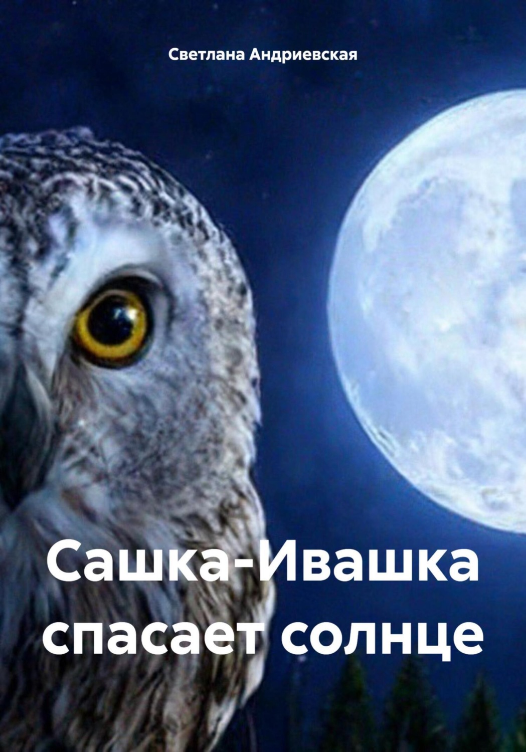 Обложка книги «Сашка-Ивашка спасает солнце»