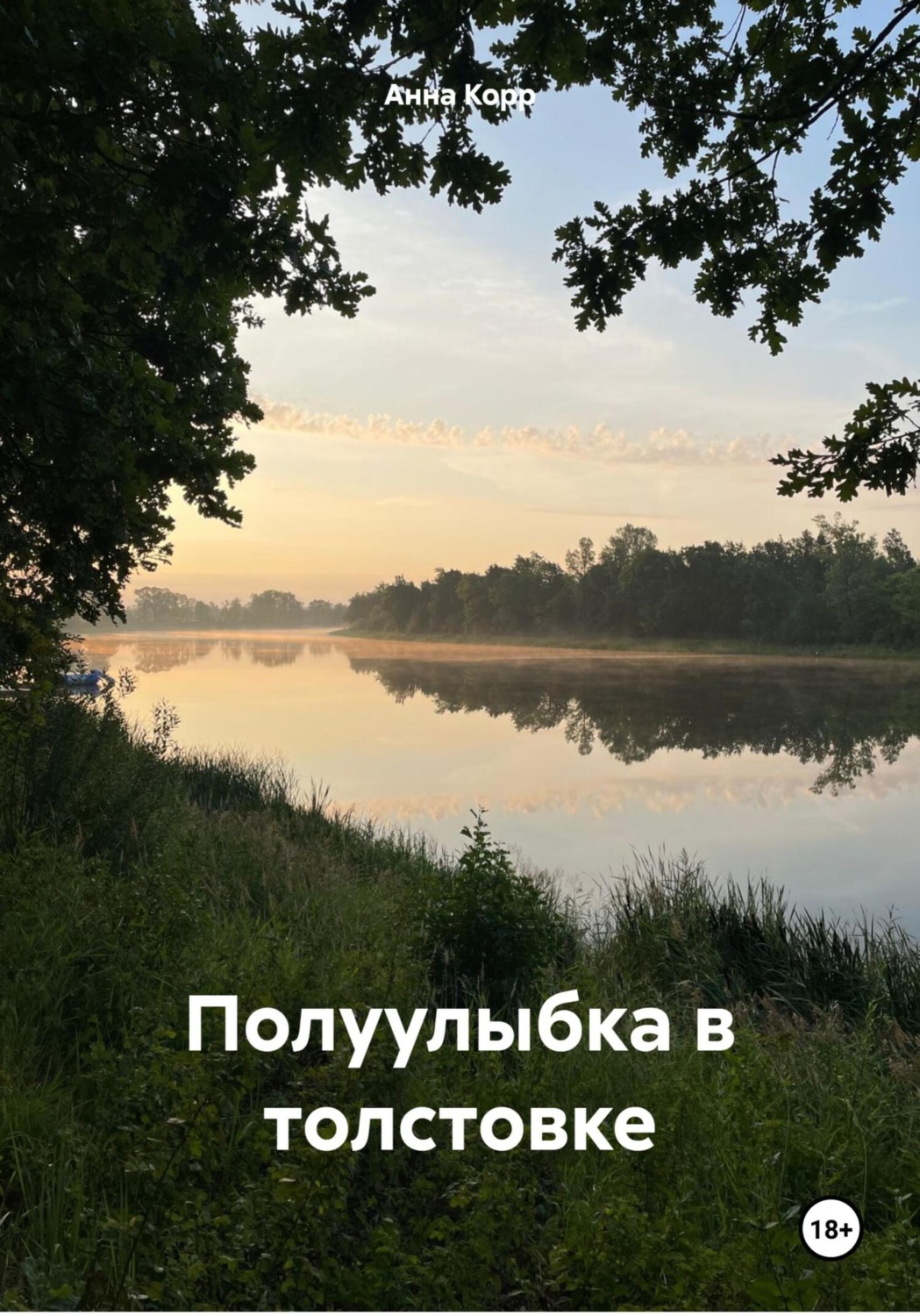 Обложка книги «Полуулыбка в толстовке»