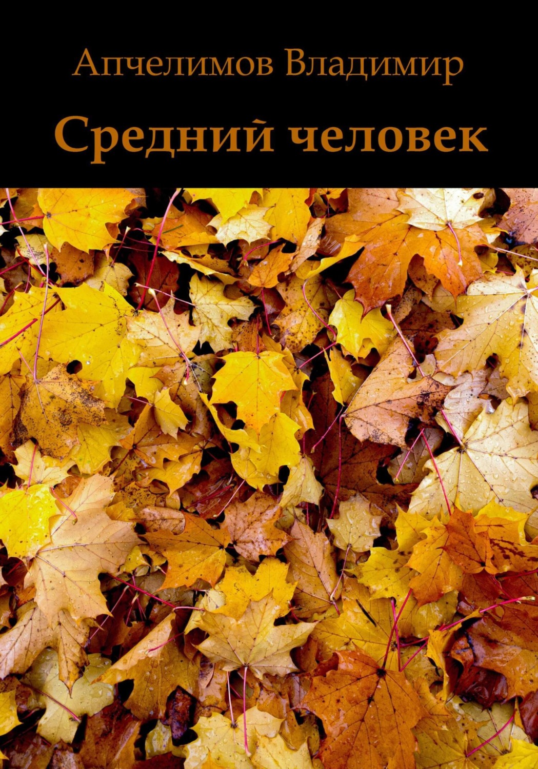 Обложка книги «Средний человек»