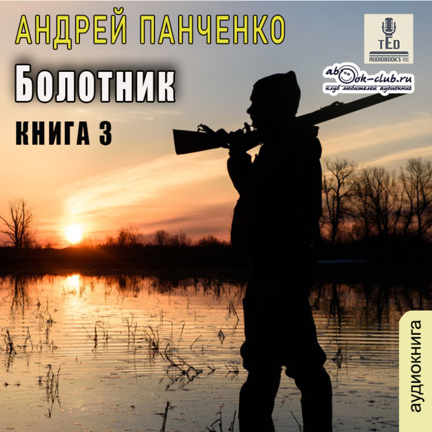 Обложка книги «Болотник. Книга 3»