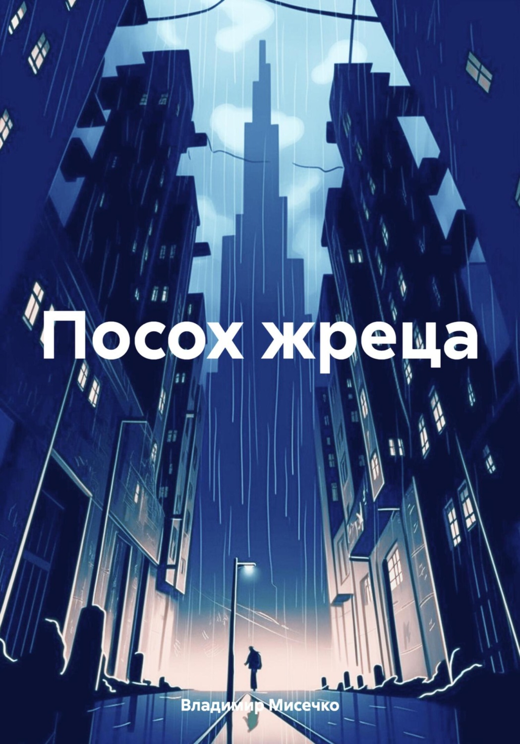 Обложка книги «Посох жреца»