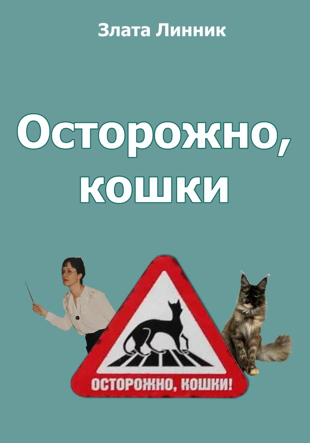 Обложка книги «Осторожно, кошки»