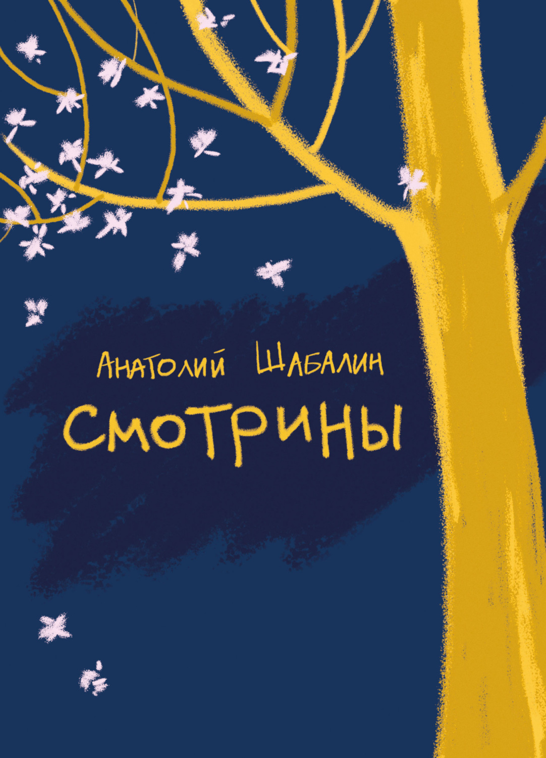 Обложка книги «Смотрины»