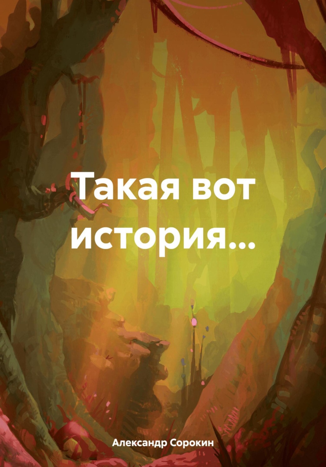 Обложка книги «Такая вот история…»