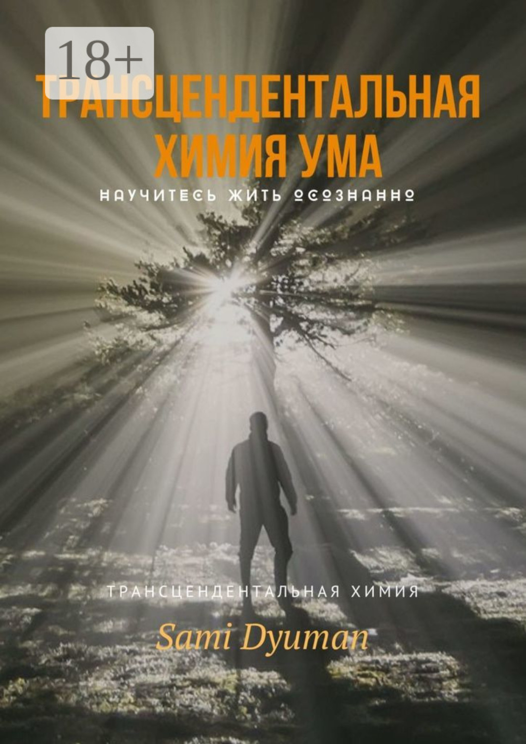 Обложка книги «Трансцендентальная химия ума»