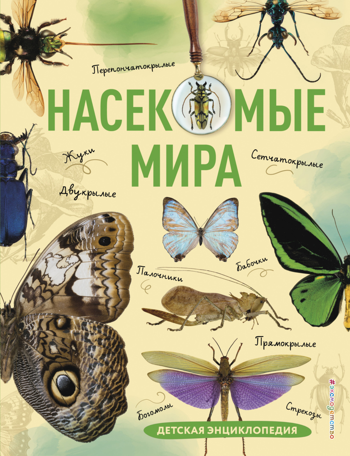 Обложка книги «Насекомые мира. Детская энциклопедия»