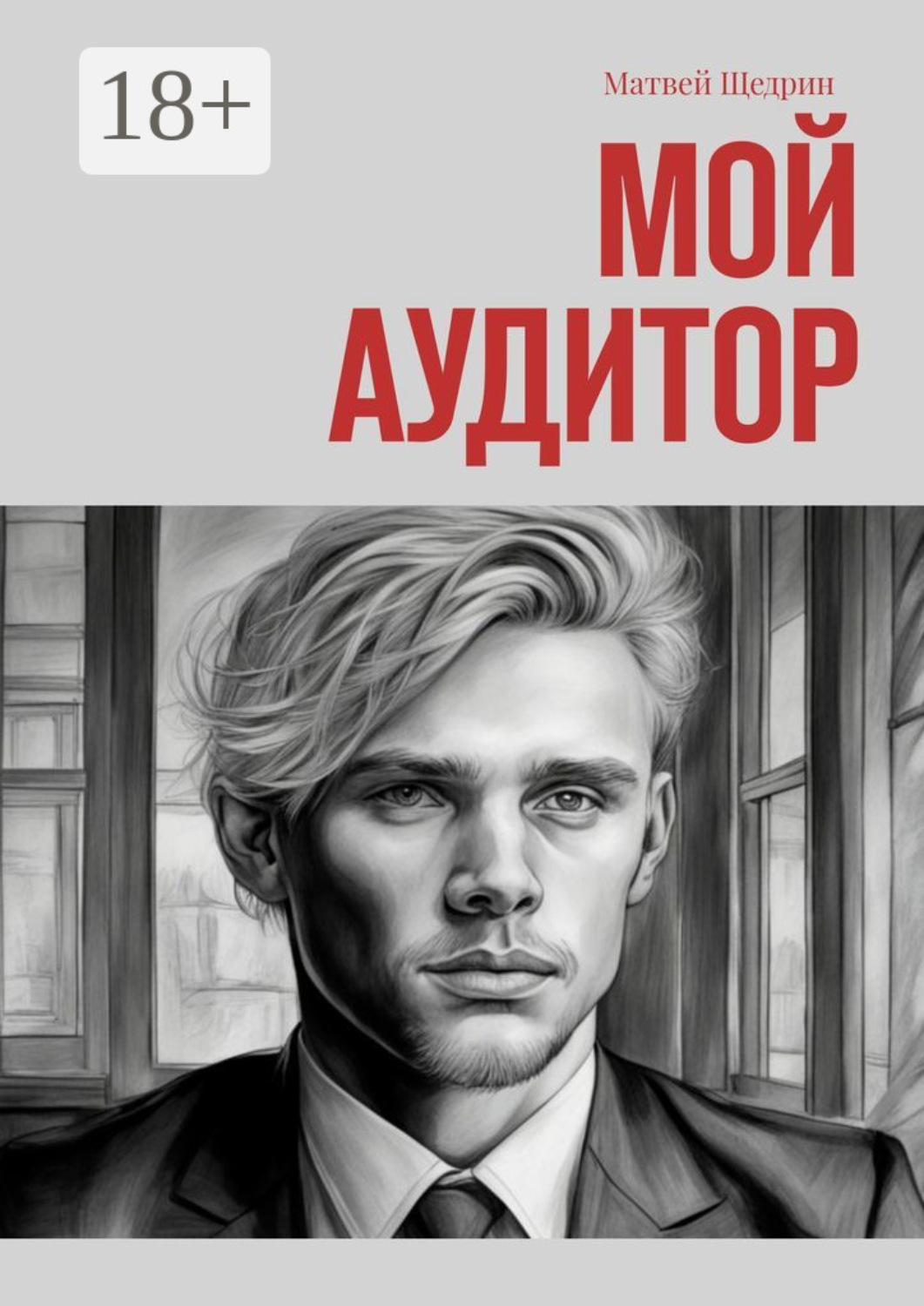 Обложка книги «Мой аудитор»