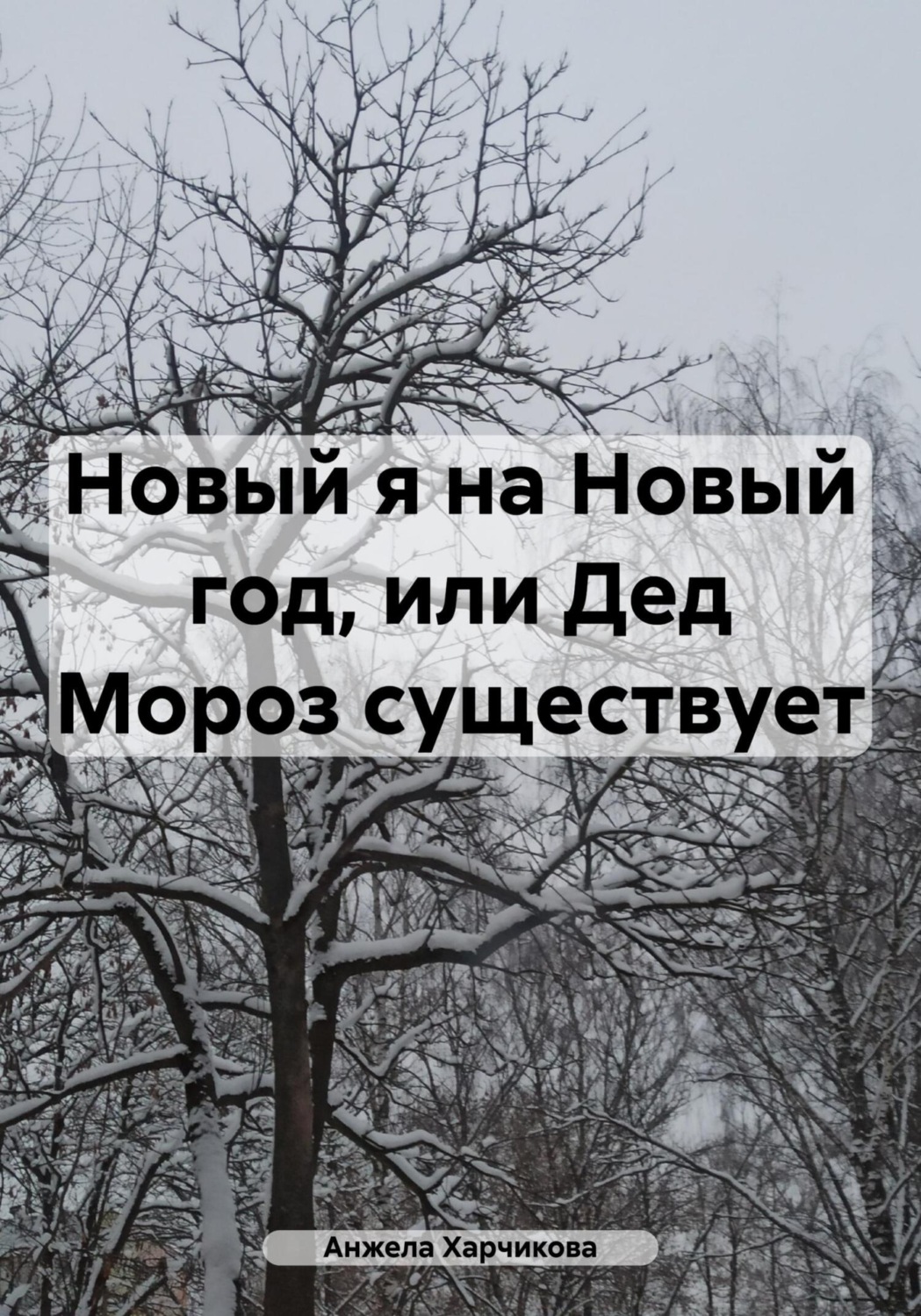 Обложка книги «Новый я на Новый год, или Дед Мороз существует»