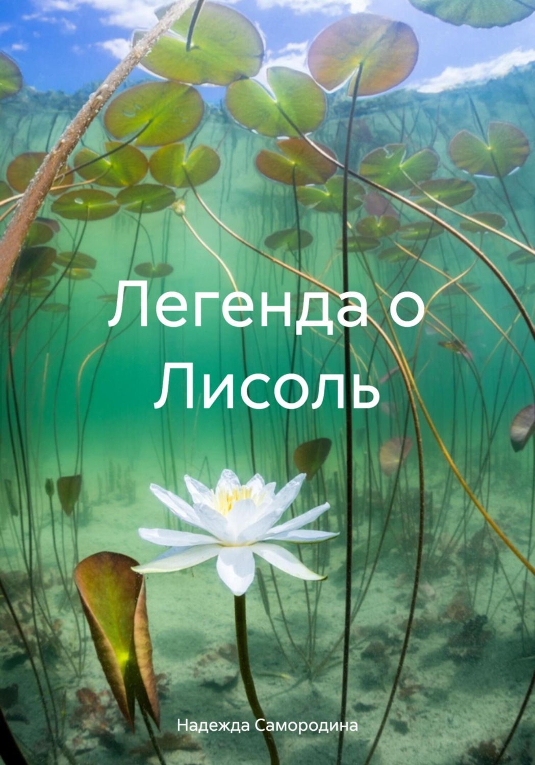 Обложка книги «Легенда о Лисоль»