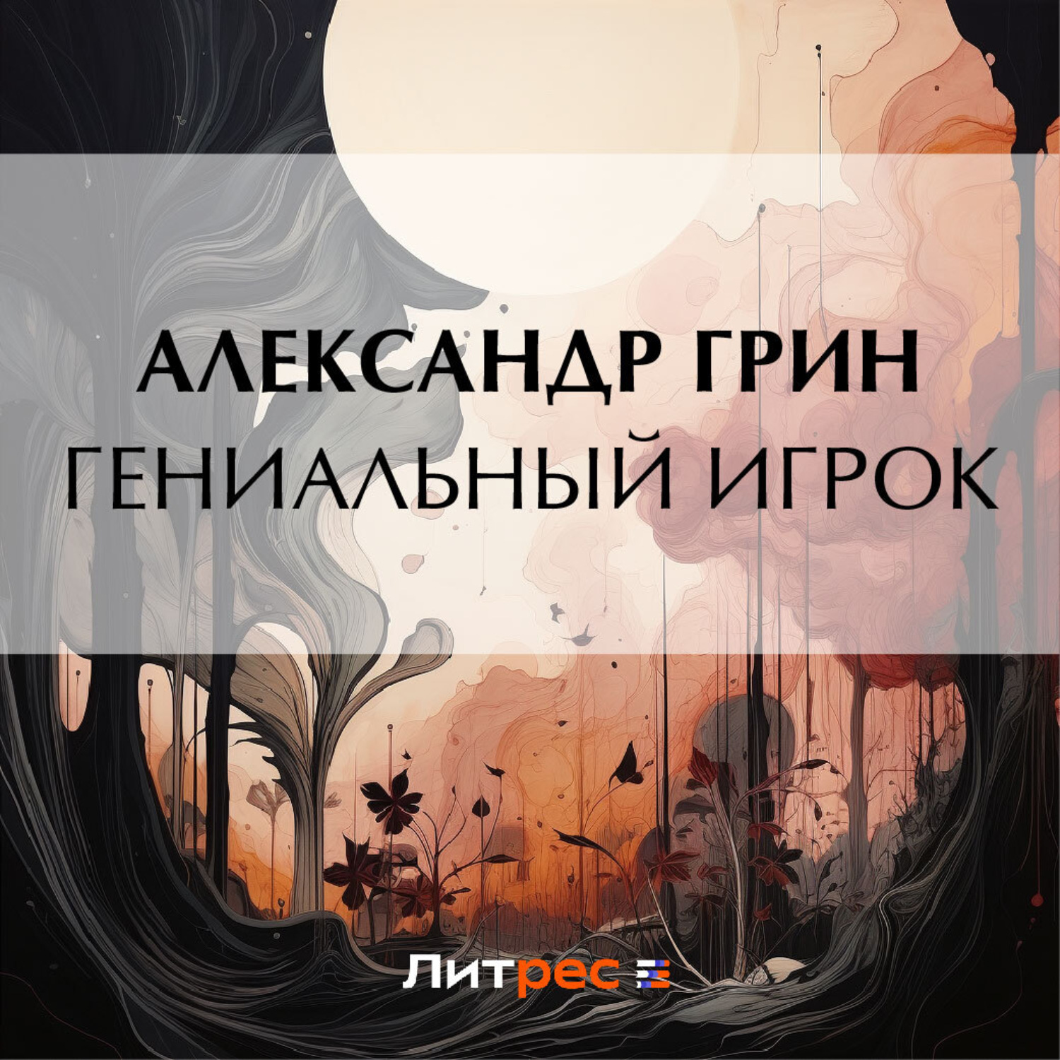 Обложка книги «Гениальный игрок»