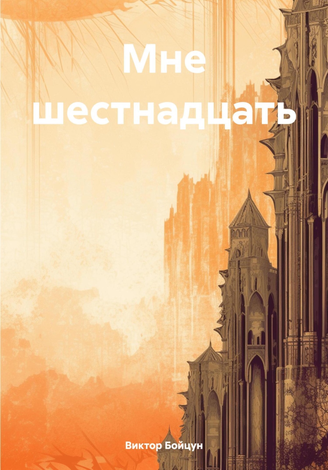 Обложка книги «Мне шестнадцать»