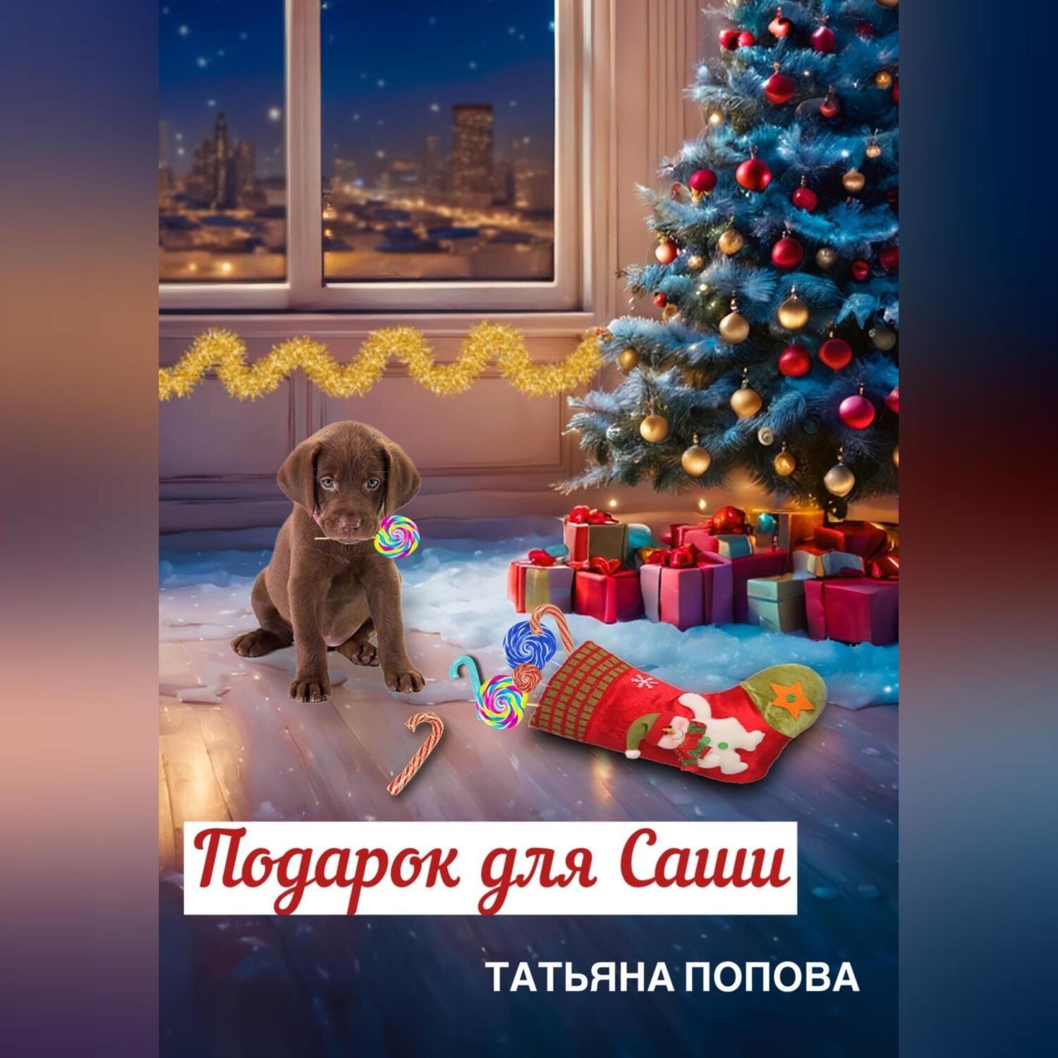 Обложка книги «Подарок для Саши»