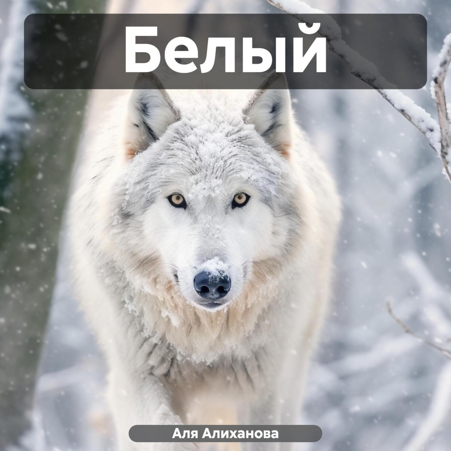 Обложка книги «Белый»