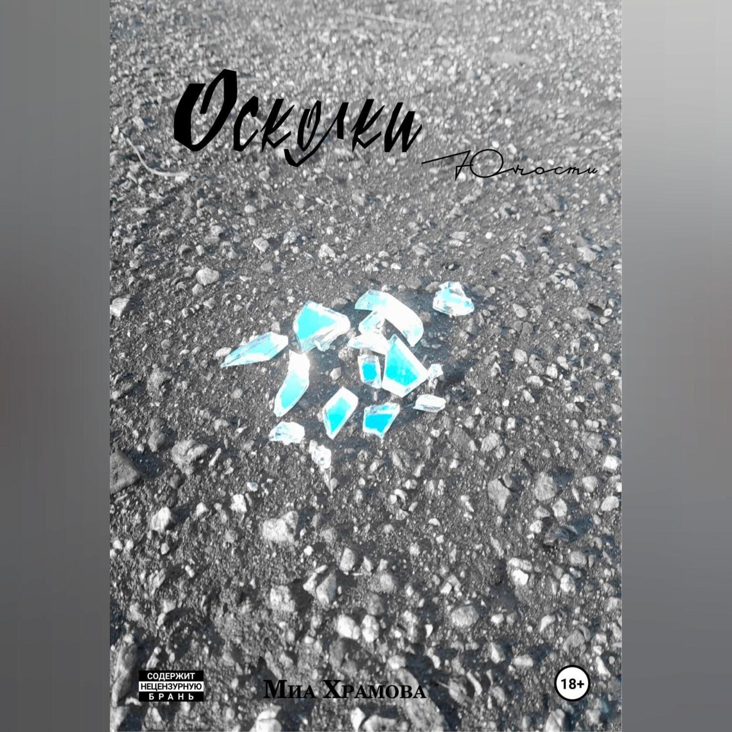 Обложка книги «Осколки юности»