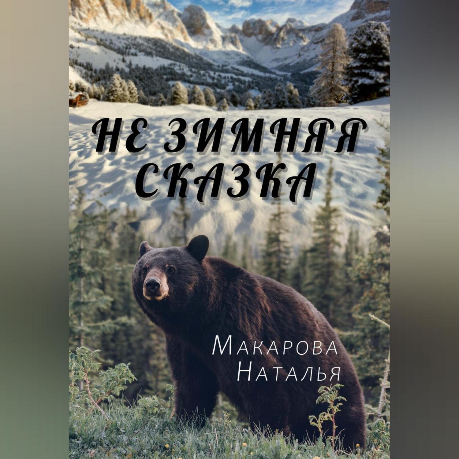 Обложка книги «Не зимняя сказка»