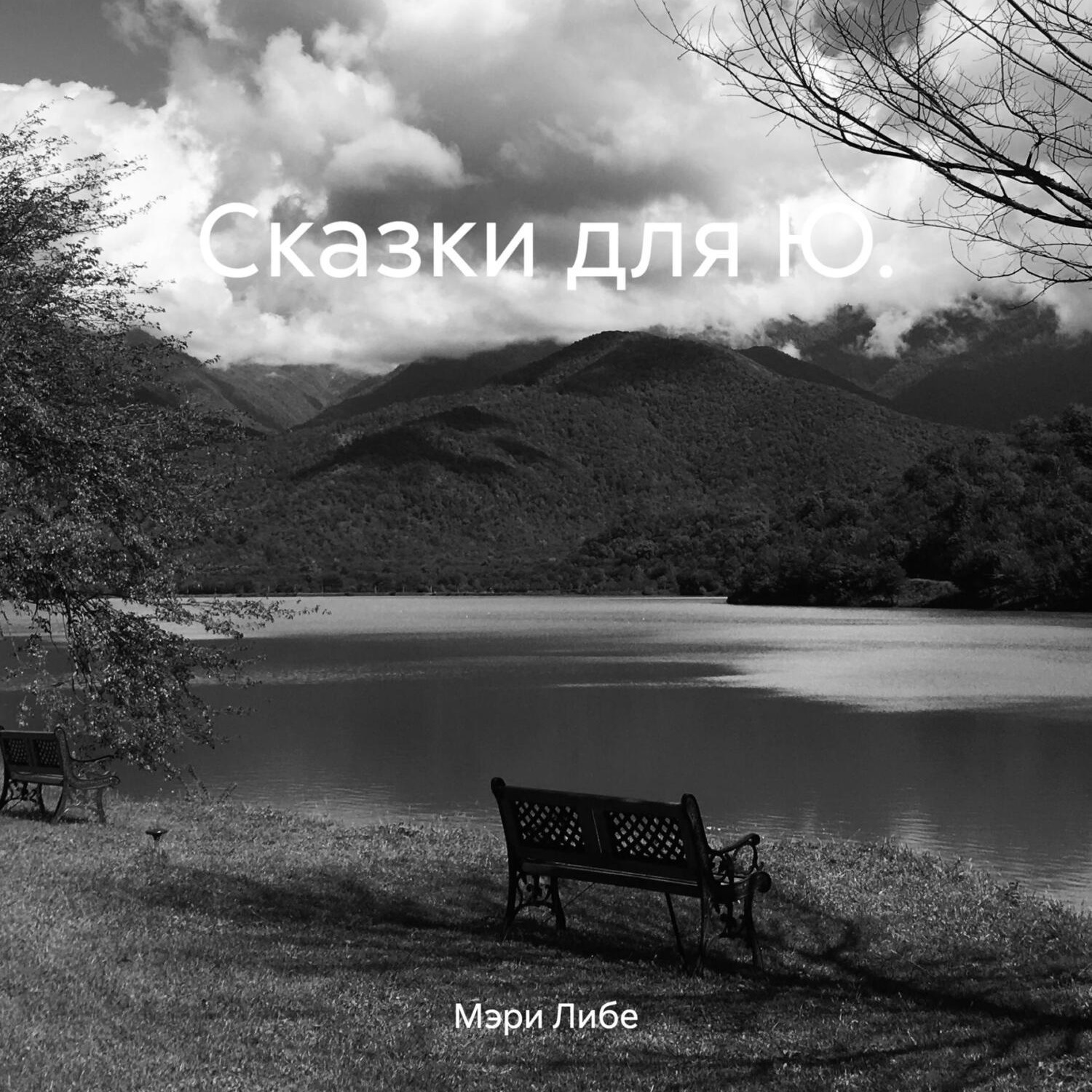 Обложка книги «Сказки для Ю.»