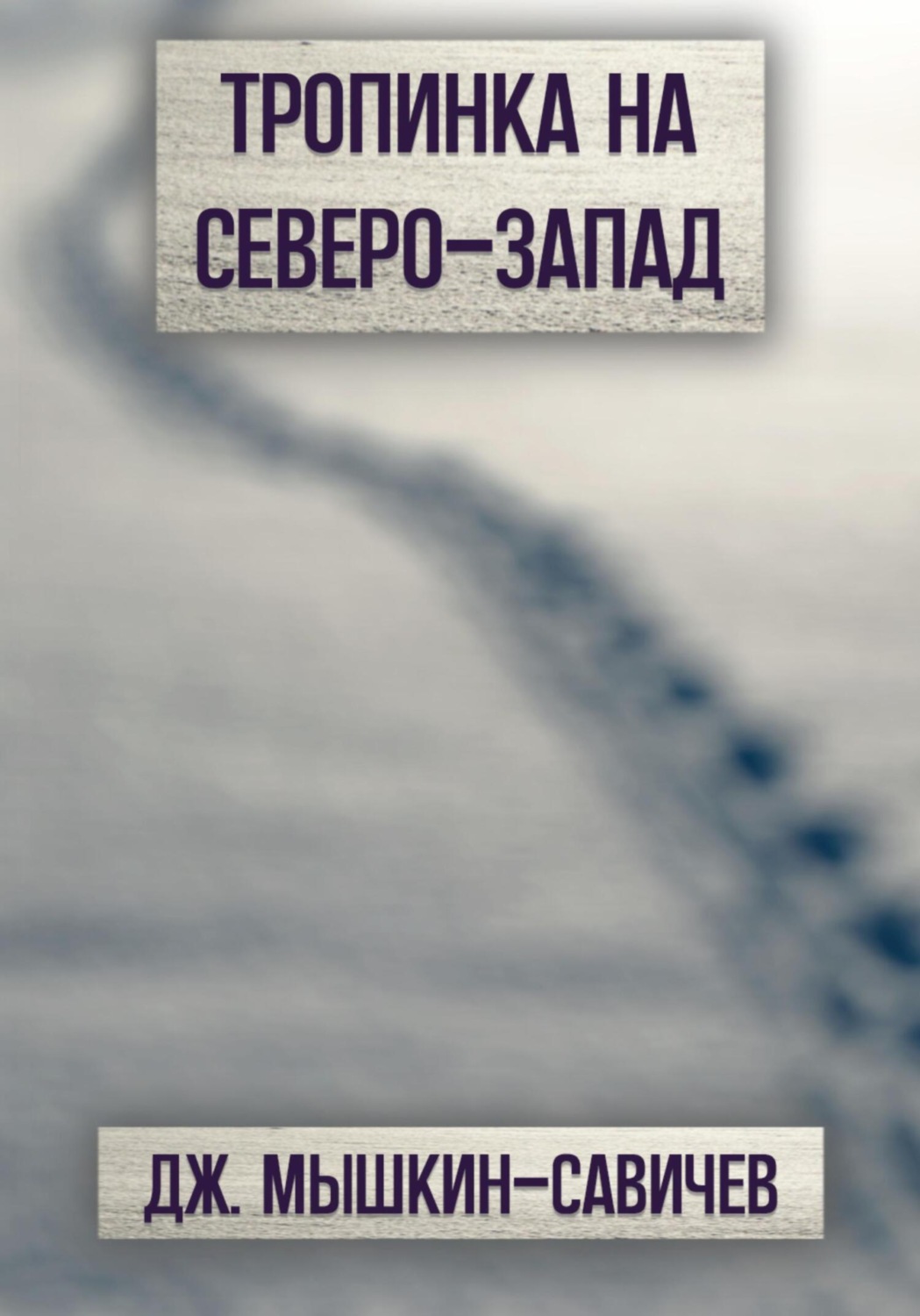 Обложка книги «Тропинка на северо-запад»