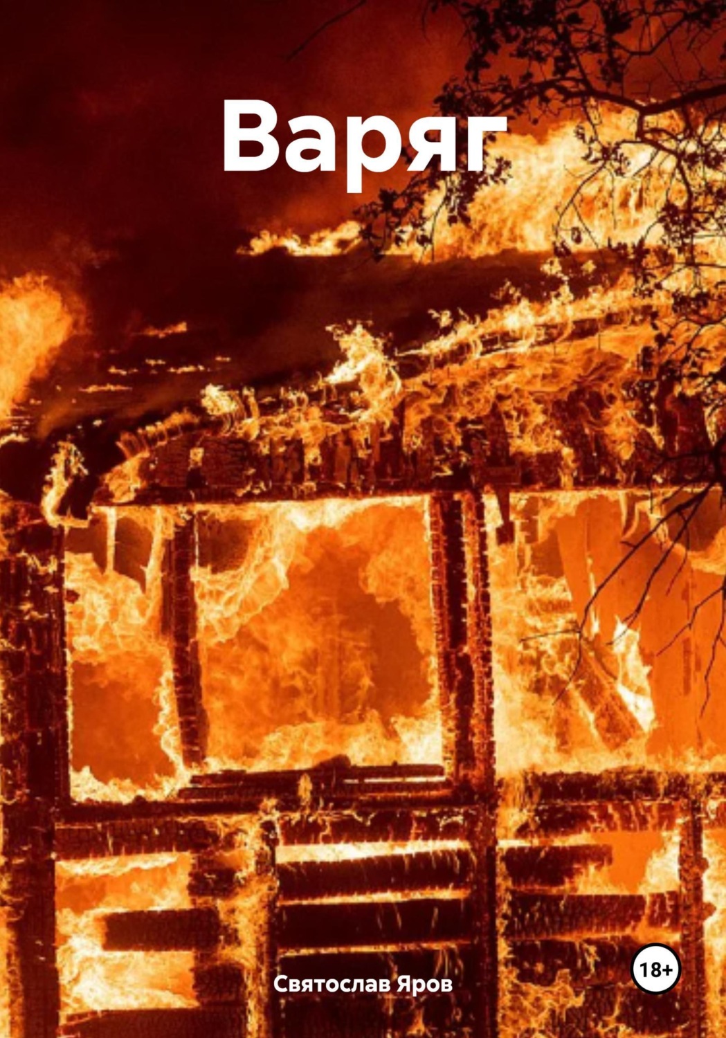 Обложка книги «Варяг»