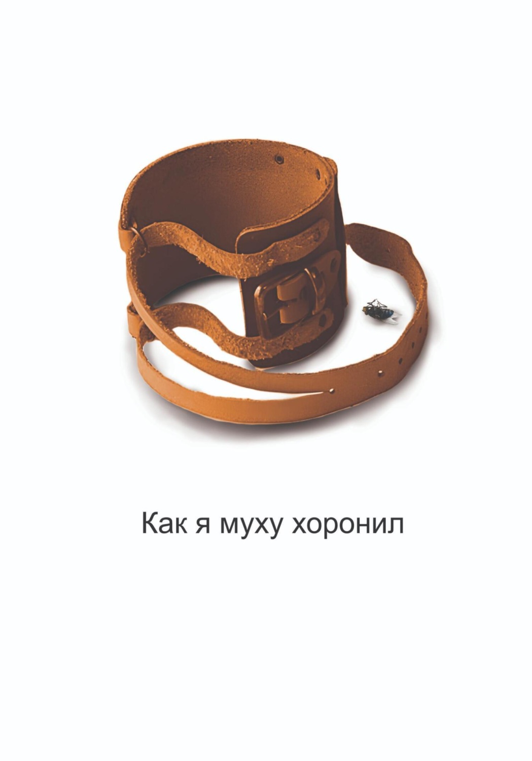 Обложка книги «Как я муху хоронил»