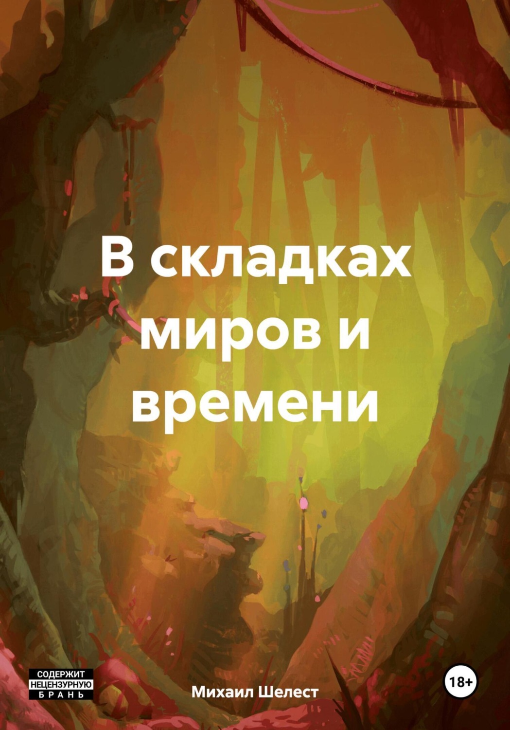 Обложка книги «В складках миров и времени»