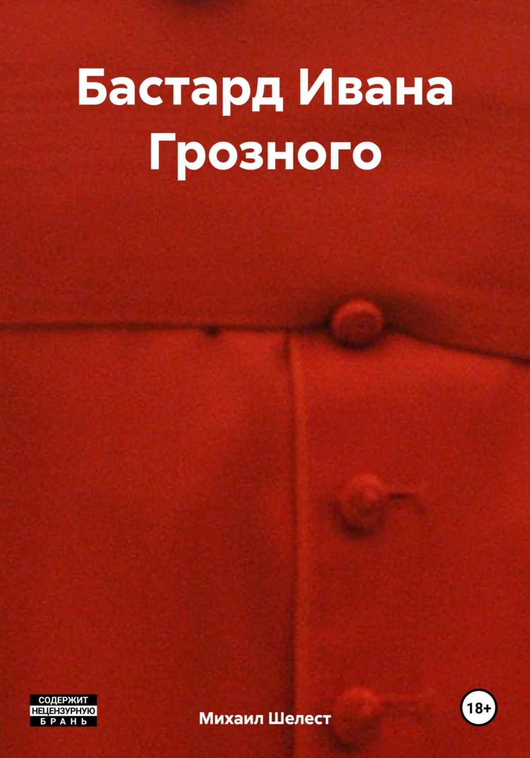 Обложка книги «Бастард Ивана Грозного»
