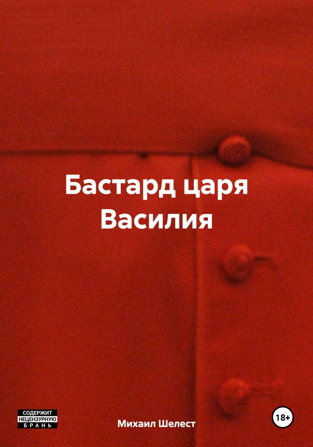 Обложка книги «Бастард царя Василия»