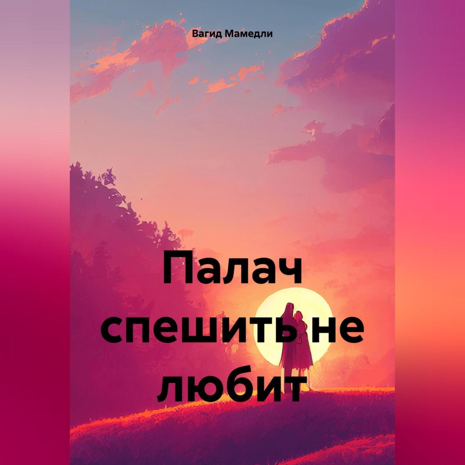 Обложка книги «Палач спешить не любит»